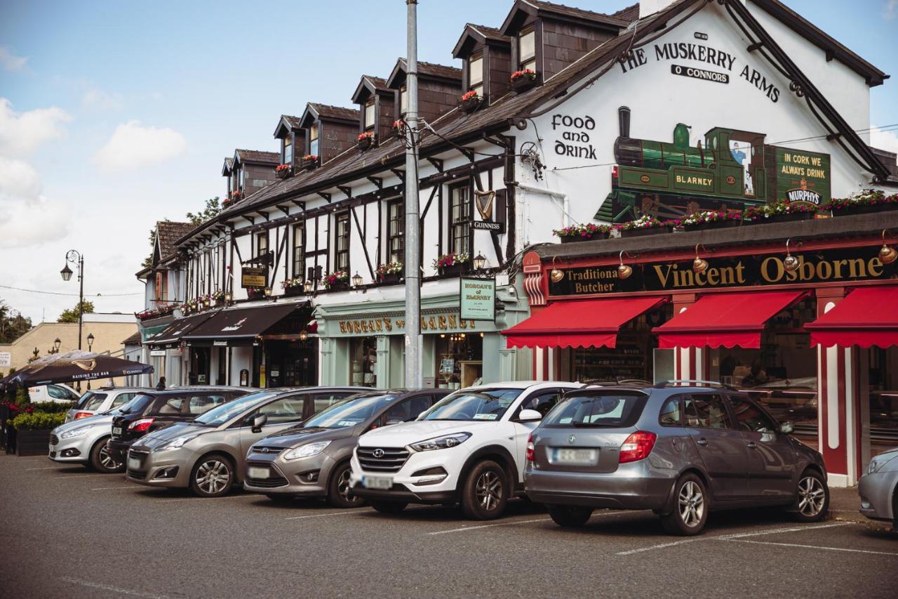 Muskerry Arms Bar And B&B Бларні Екстер'єр фото